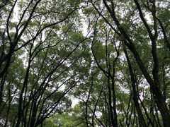 -上海市保健医疗中心