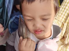 -春花秋色城市公园