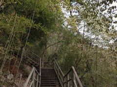 -东天目山风景区