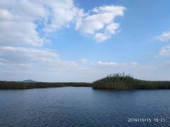 -太湖湖滨国家湿地公园-停车场