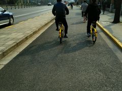 -同济大学四平路校区游泳馆