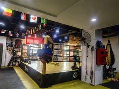-成泰格斗(环球商业广场店)