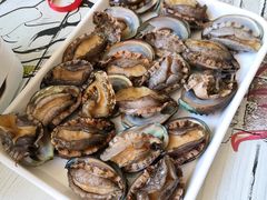 -大连海鲜斑鱼火锅(安平店)