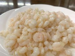 清炒河虾仁-协和菜馆(凤凰街店)
