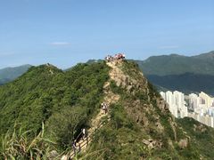 -狮子山郊野公园