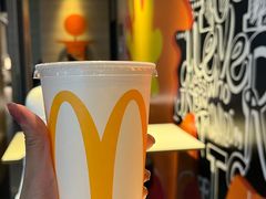 -麦当劳(桃仙机场到达层店)