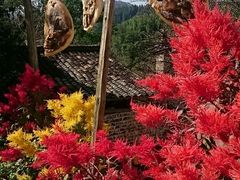 -塔川景区