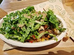 -油梨树 AVOCADO TREE(亮马桥店)