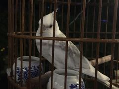 -EVA咖啡小酒馆