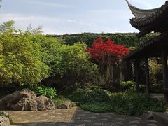 -金庸书院