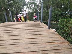 -长白岛森林公园