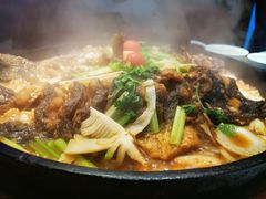 -老板恋上鱼(恒隆广场店)