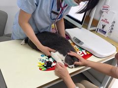 -立德24H动物医院·夜诊·转诊中心·1.5T核磁共振(海珠店)
