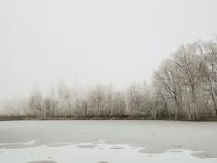 -伊犁河风景区