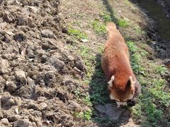 -宁波野生动物园