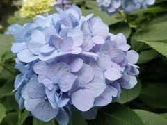 -常州古运河南大街文化旅游区-人民公园