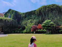 -府河摄影公园