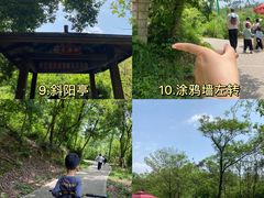 -青龙山国家森林公园