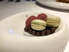 -蝶舍·MAISON PAPILLON