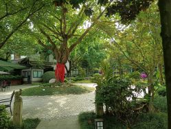 -莲生母婴月子中心(清水河公园店)