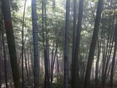 iphone_upload_pic-径山寺