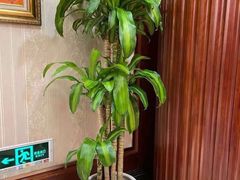 -金时代顺风大酒店(协泰店)