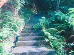 -广州市帽峰山景区