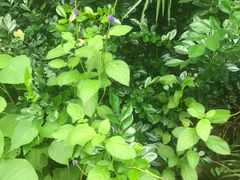 -龙坑生态保护区