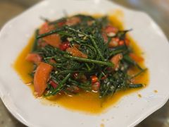 番茄炒水蕨菜-多哥水傣味餐厅(司马巷店)