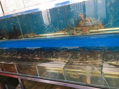 -芽庄老成都川菜馆