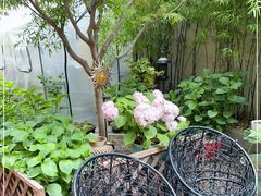 -阿莉餐厅(枣阳路店)