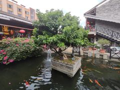 -猪肉婆私房菜(容桂总店)