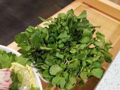 -烹然四季椰子鸡火锅(团结湖总店)