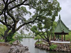 -无锡蠡湖国家湿地公园-蠡园