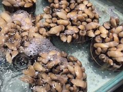 -盒马鲜生(莱蒙都会店)