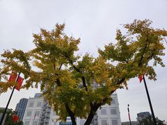 -人民广场