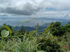 -七娘山