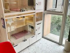 -柚子猫舍·精品猫舍购猫·猫咪认养·购宠·宠物店