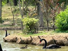 -祥源·阜阳生态乐园