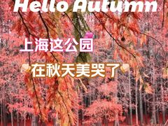 -上海海湾国家森林公园