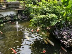 -聚福宝合苑食府(南头镇店)