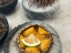 -连鹭海鲜·海肠捞饭·海胆饭(星海店)