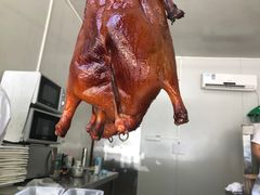 -姚林轩
