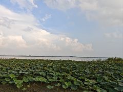 -七的湖·晚芳亭·阳澄湖农家菜·大闸蟹(莲花岛店)