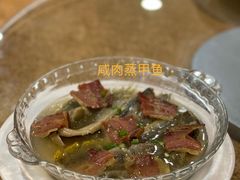 -龙井壹号·茶缘山景宴(龙井村店)