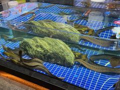-宝轩渔府·老字号海鲜·正宗津菜(水上店)