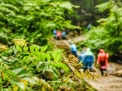 -尧山风景区