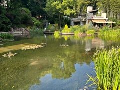 -谢记上海大排档(长寿路店)