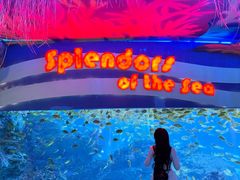 -海合安成都极地海洋公园