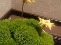 -西湖春天(中州店)